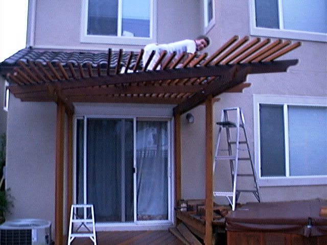overhead trellis